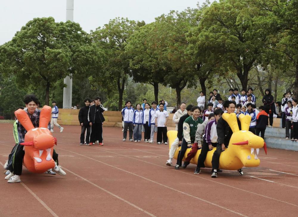 旱地龙舟