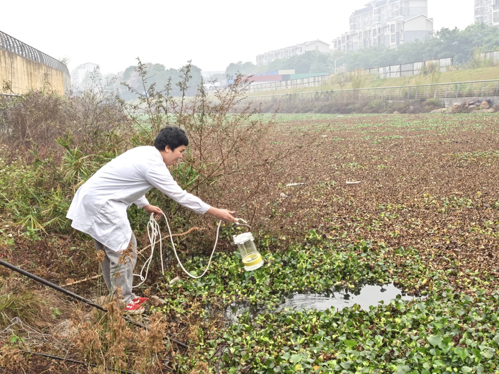 IMG_20260402_161316_edit_3079457985356666