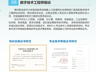 数字技术工程师