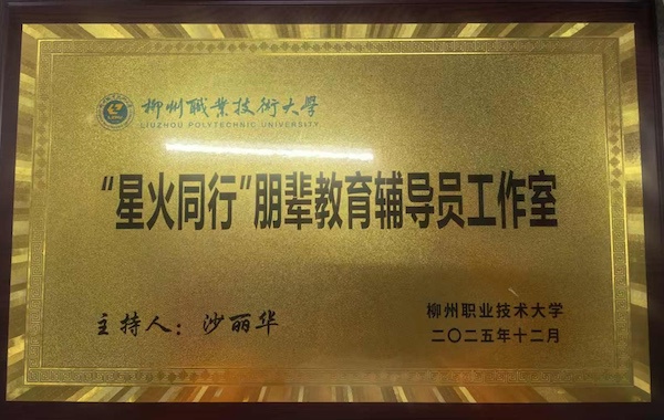 星火同行“朋辈教育辅导员工作室